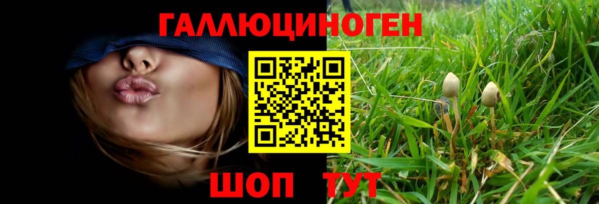 Галлюциногенные грибы мухоморы Тулун